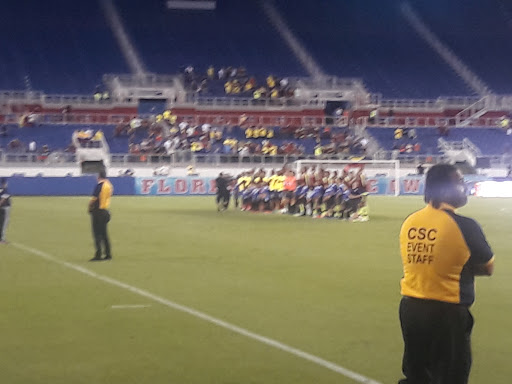 FAU Stadium - Visual