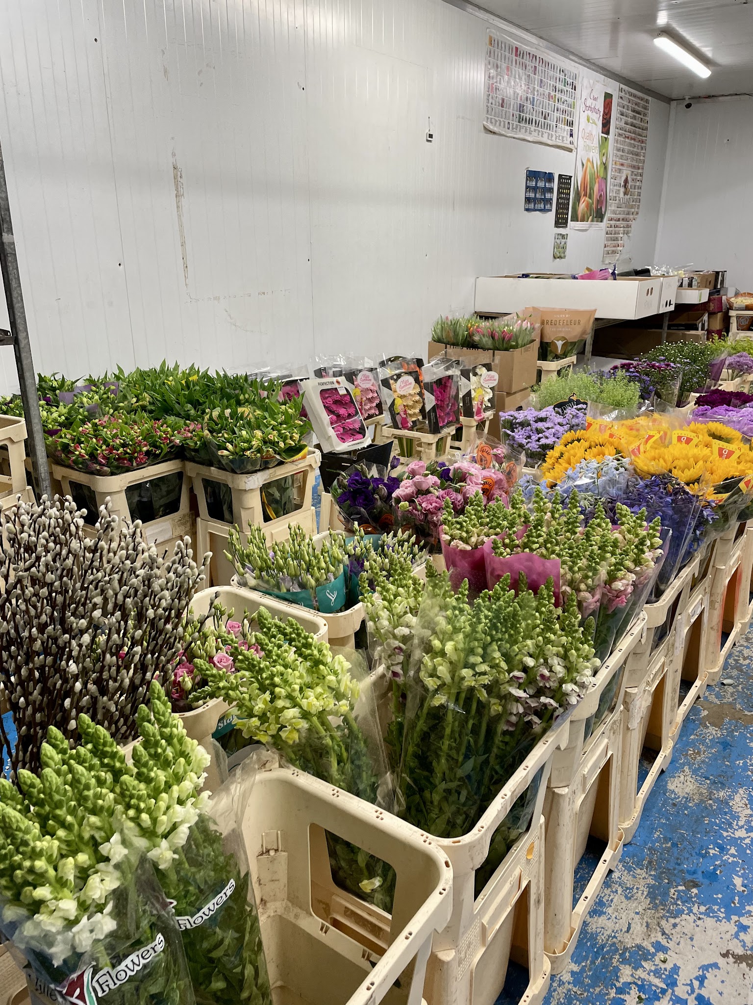 Central Flower Sales LTD - Florists - photo 1