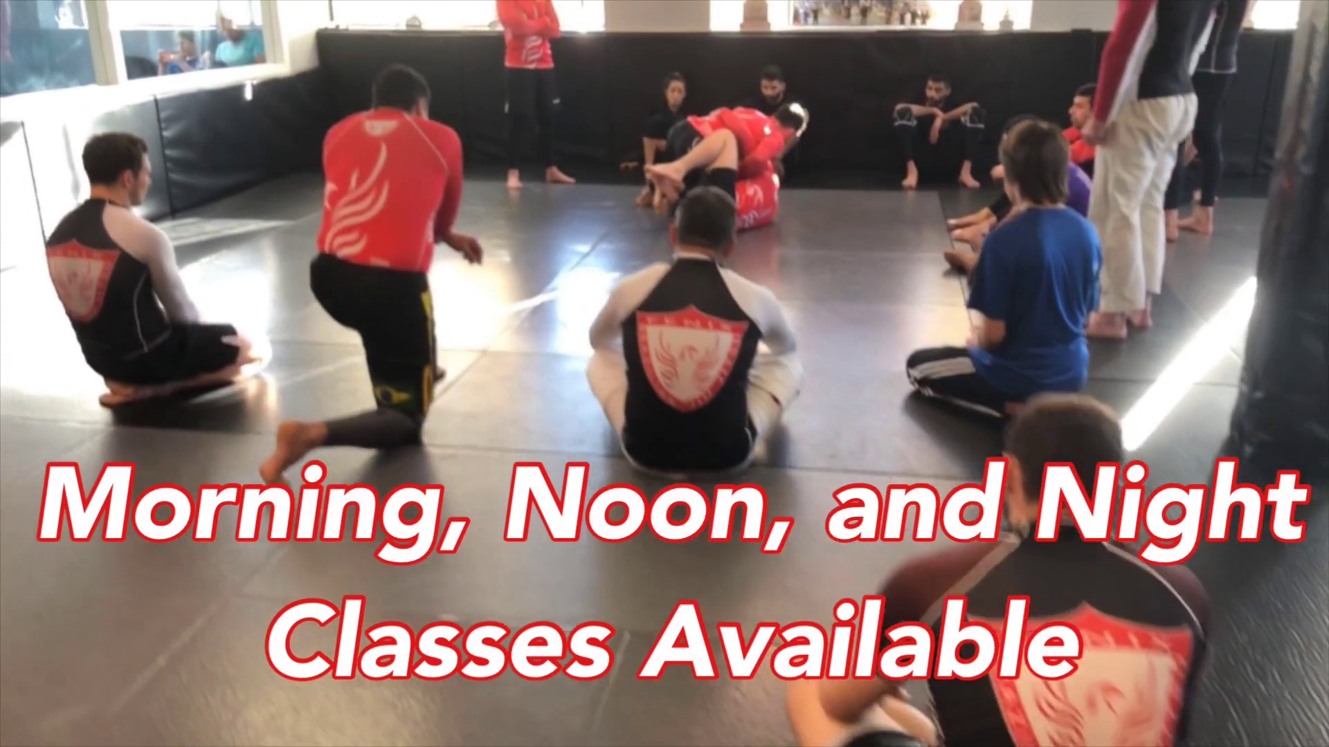 Fenix Brazilian Jiu Jitsu photo 14