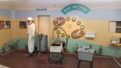 Photos of בית הדבש והדבורה