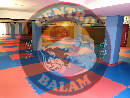 Centro Deportivo Balam - Gimnasio Taekwondo - Thumbnail