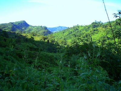 Photos of প্রংফুং মক পাড়া