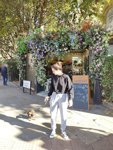 Floward UK - Visual