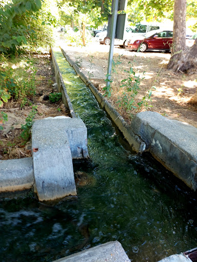 El Coto Park - Thumbnail