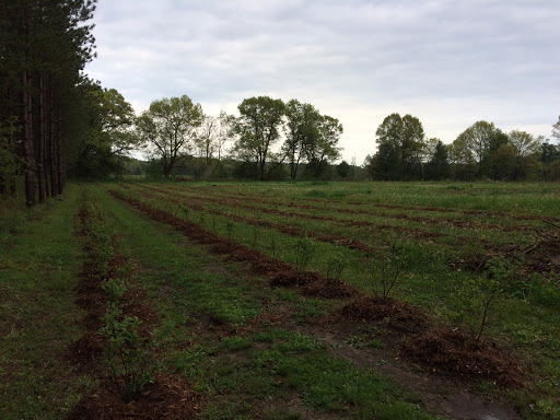Koehler Acres