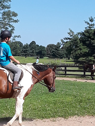 Equestrian Ring - Visual