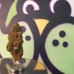 Photo n°34 de CBD LYON - GranaShop à Lyon (Boutique de cigarettes électroniques)