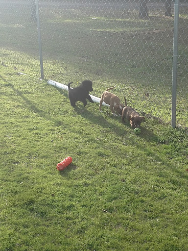 Humane Society of Harrison County - Thumbnail