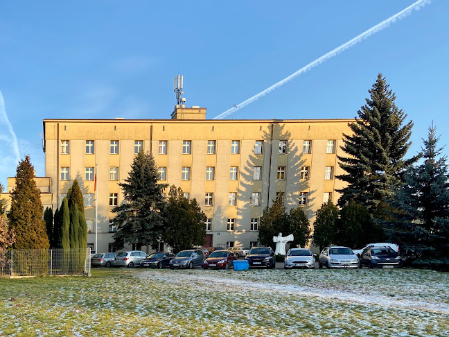 Opinie o Bernardyńska Szkoła Podstawowa im. o. A. Pankiewicza w Łódź - Szkoła