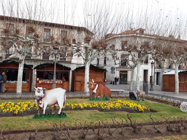 Alcalá de Henares