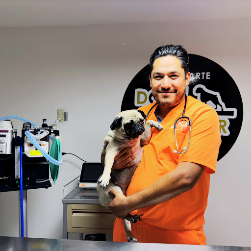 Especialidades veterinarias Dog+tor