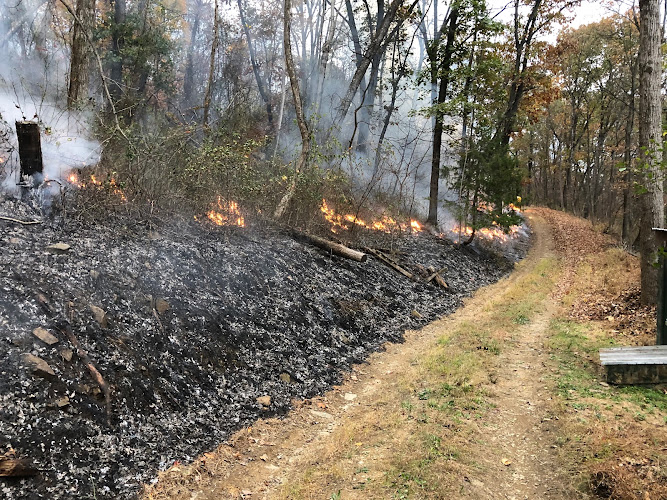 Appalachian Growth Forest Management & Logging, LLC