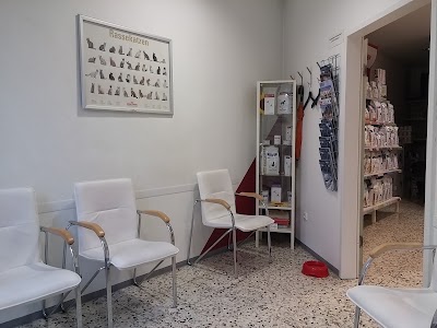 Photos of Veterinary clinic Am Stadtpark GmbH