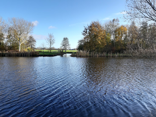 Bosdijk - Visual