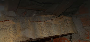 Photo n°1 de Agence Telefunko à Sommervieu (Service d'extermination des nuisibles)