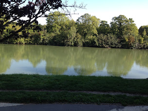 Photo n°9 de Noisy-le-Grand ASLM – Aviron Sports et Loisirs de la Marne à Noisy-le-Grand (Club d'aviron)