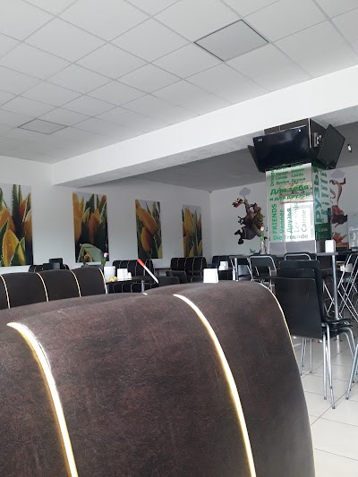 Photos of "Bistro"