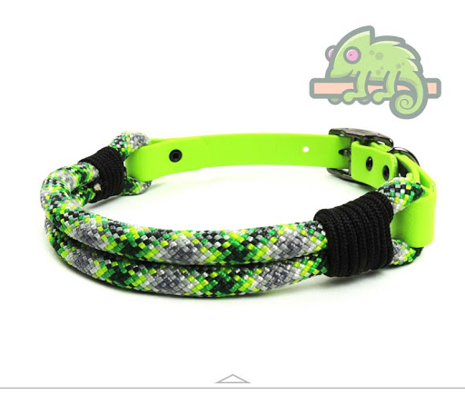 Doggy Essential - Visual