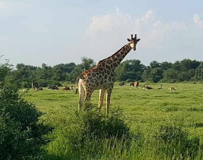 Photos of Tikwe River Lodge