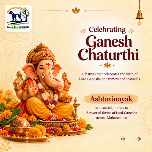 Bhola Pet's Hospital pet clinic wishes everyone a blessed Ganesh Chaturthi. Trust our pet groomin… post image