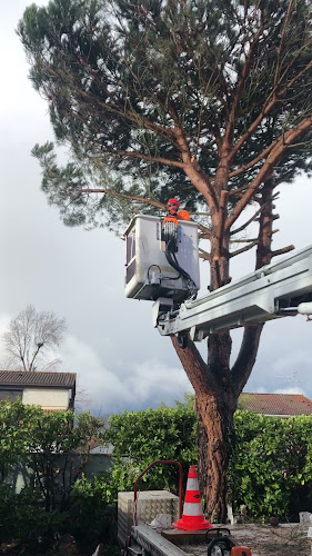 Opinii despre Jackel Élagueur 31 - Élagage & taille de haie în Colomiers - Paysagiste