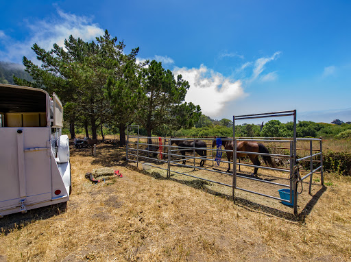 Rancho del Oso Walk-in & Bike-in Campground Gallery - United States
