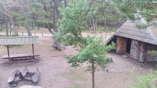 RMK Kalurikoja metsaonn