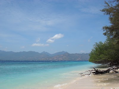 travel-agency