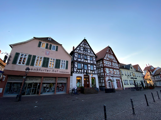 Steinheim