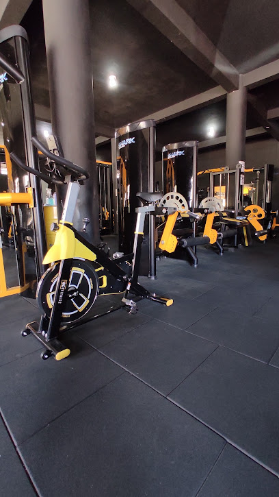 Voltz Gym