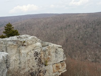 Photos of Dolly Sods Wilderness