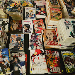 Photo n°22 de Bazar du manga - librairie Saint Maur à Saint-Maur-des-Fossés (Librairie)