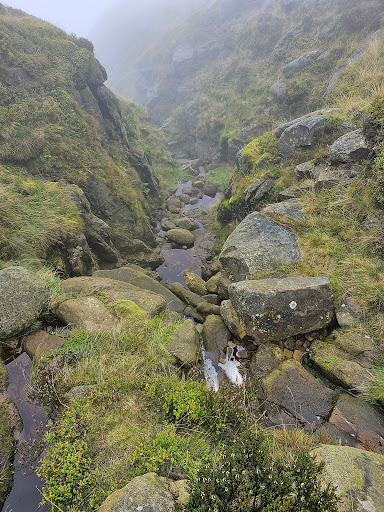 Kinder Downfall - Thumbnail