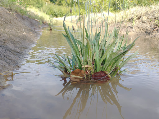 Vivero Wouters - Foto 1