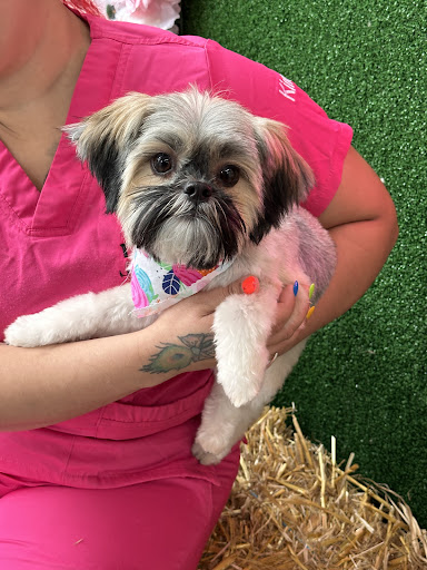 Just Perfect Grooming Salon LLC - Thumbnail