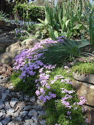 Photo n°19 de créojardins à Vertou (Paysagiste)