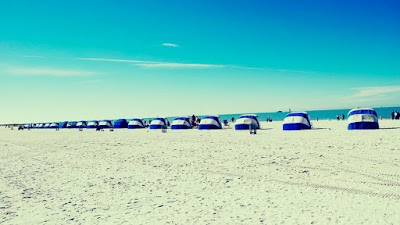 Photos of Florida Dolphin Tours