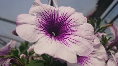 Photos of Kristiine Aiakeskus