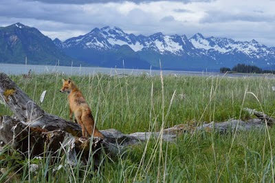 Lake Clark National Park and Preserve