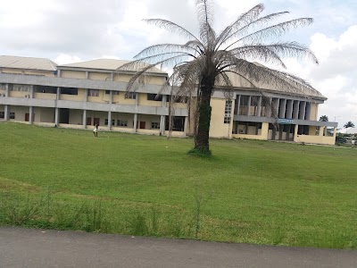 university
