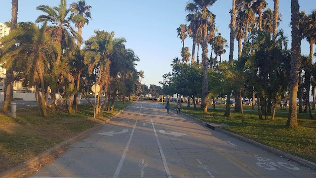 Venice Beach