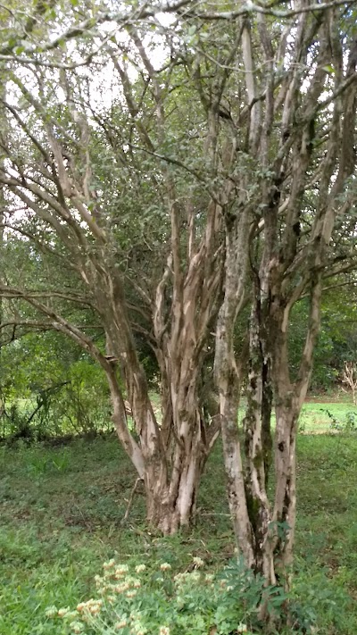 Photos of Reserva Privada Bonetti