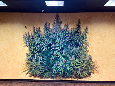 Photo of Pure North - Recreational & Medical Marijuana Dispensary