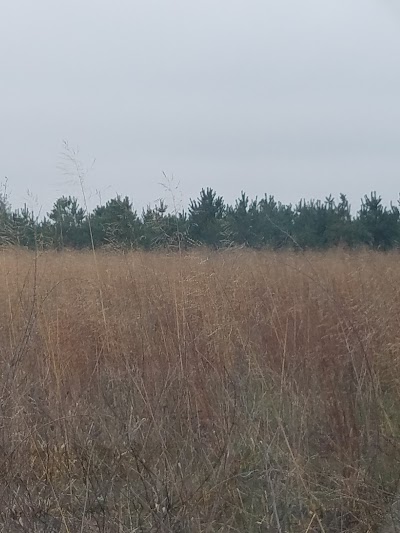 Photos of Tammen Treeberry Farm