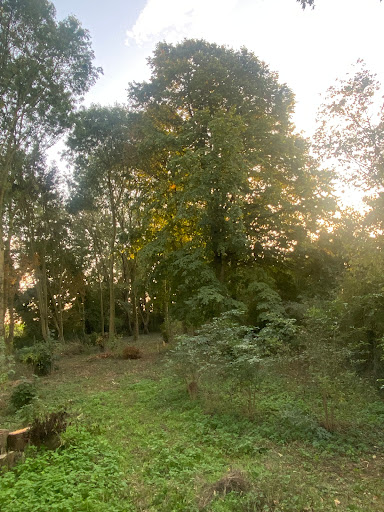 Zouave Woods