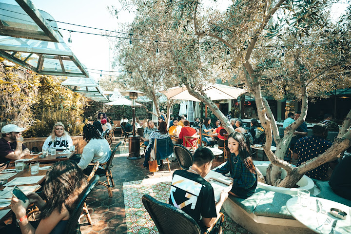 Cannabis Cafe by null