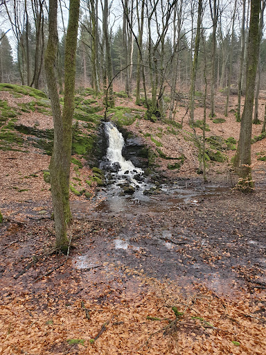 Jungfrufallet - Visual