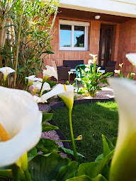 Photo n°22 de RIBA D'AUDE à Carcassonne (Maison d'hôtes)