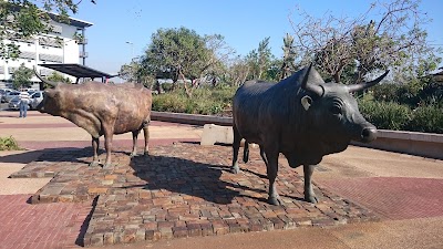 Photos of King Shaka International Airport