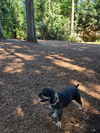 Viking Park, Off-leash Dog Park Gallery - United States